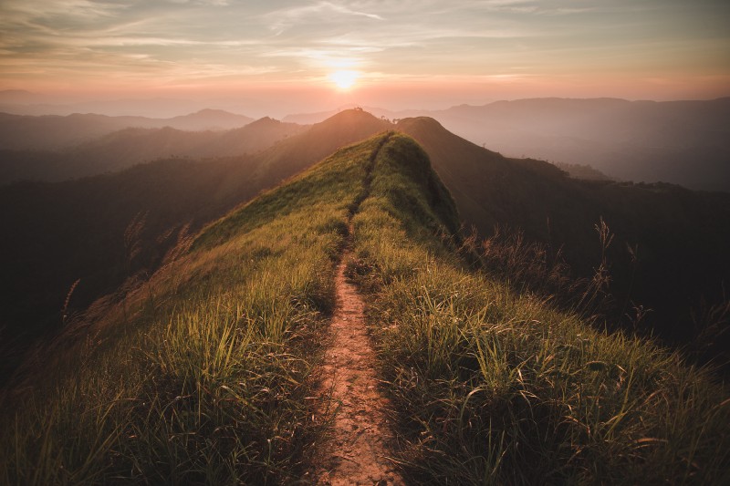 Pathway to Being, Source: shutterstock.com Royalty-free ID: 249053056
