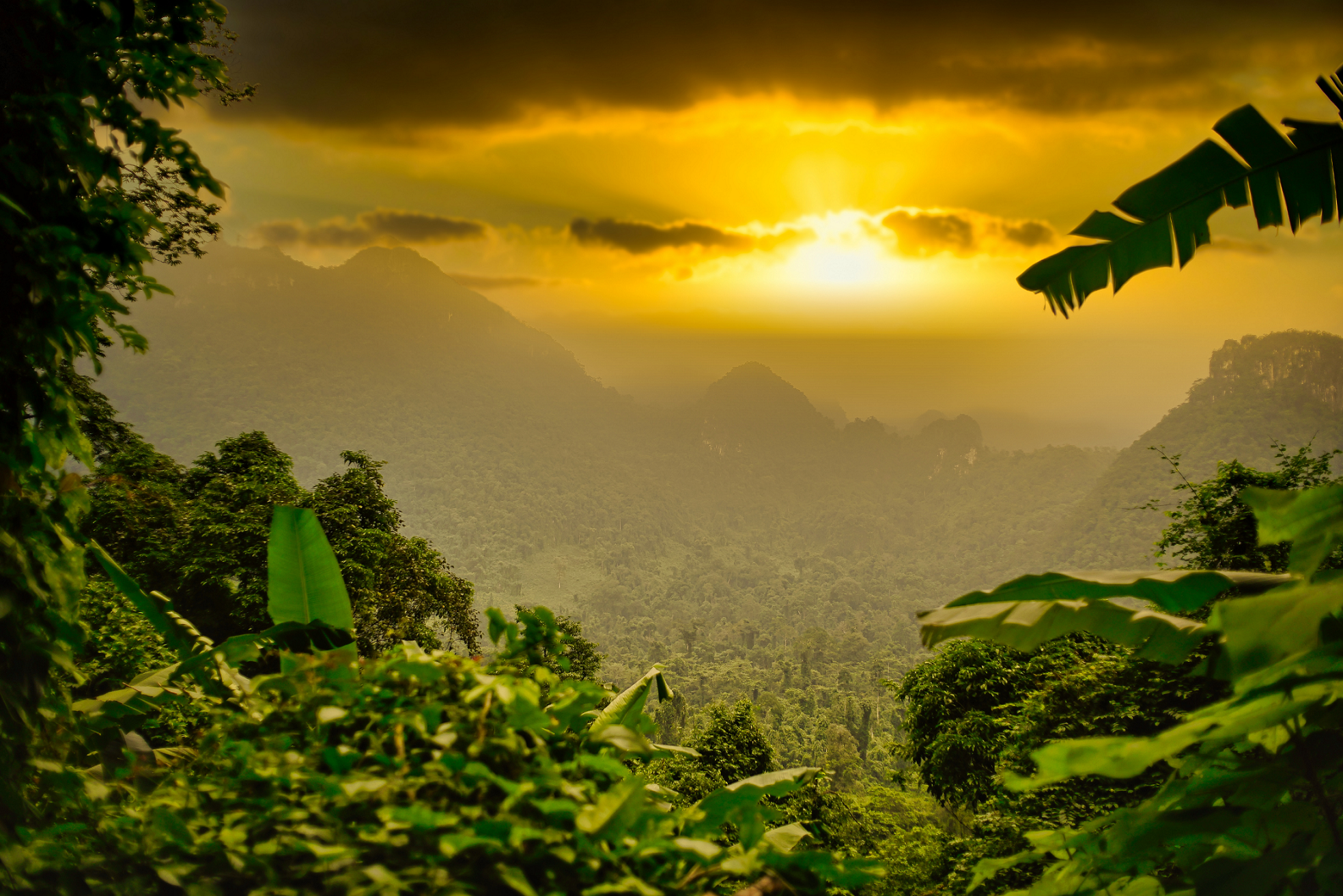 National Park in Quang Binh Province