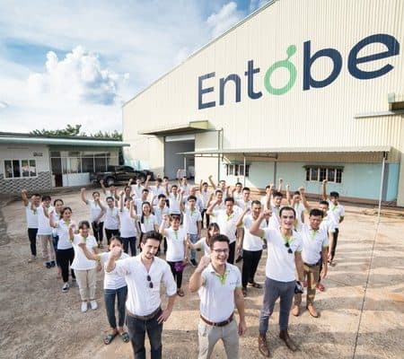 Entobel Team