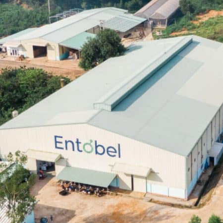 Finance Director – Entobel - A recruitment vacancy of Finance team