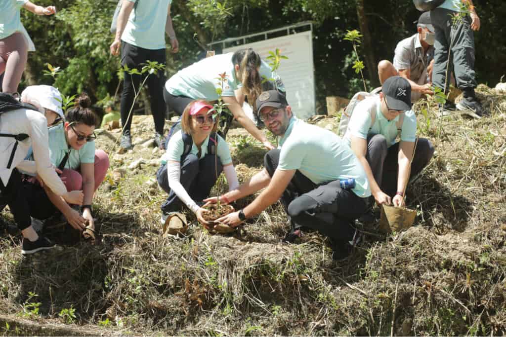 Tree planting activity in Bach Ma National Park