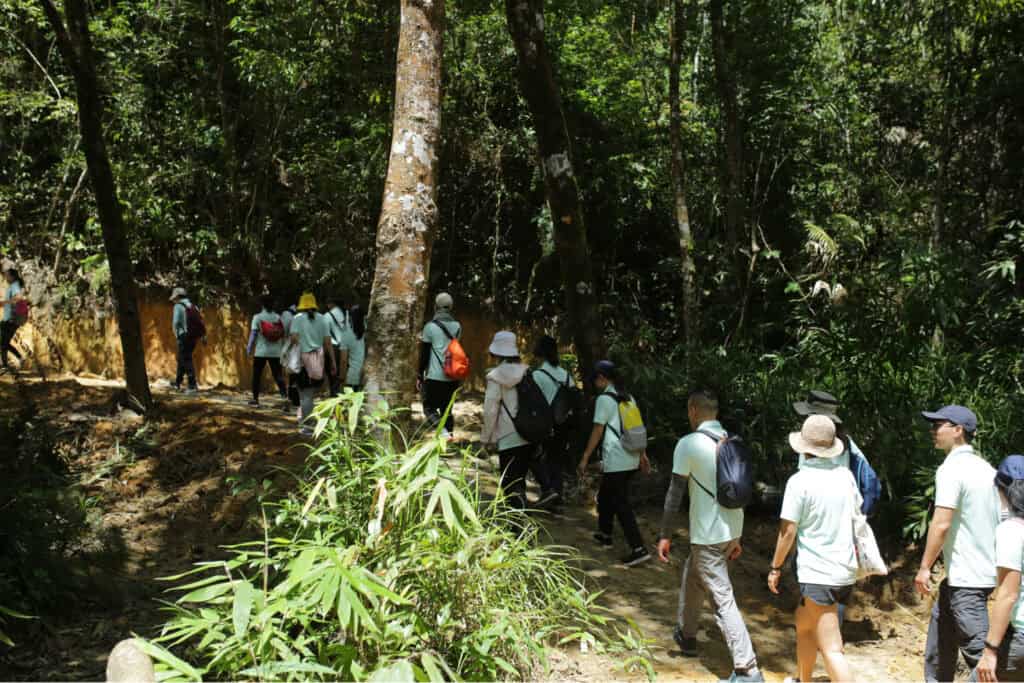 Trekking in Bach Ma National Park