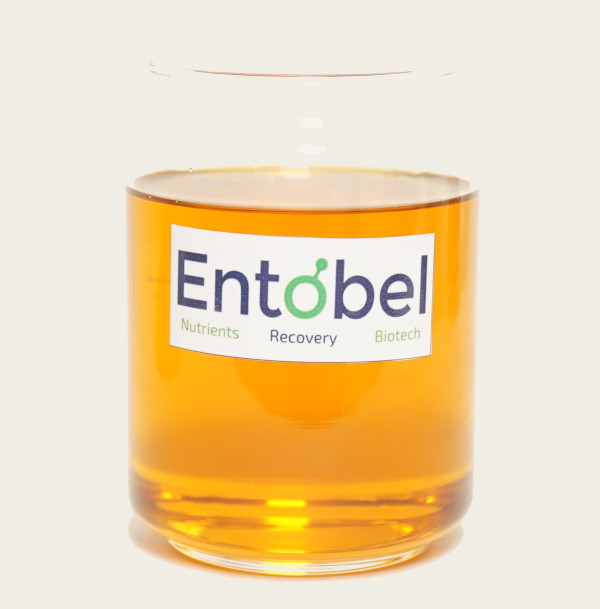 Entobel Product - H-OIL