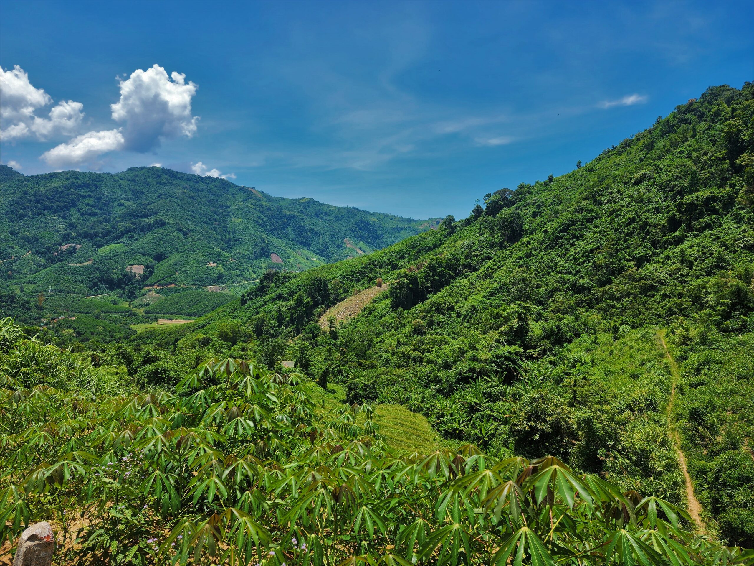 Le Anh’s Journey to become the Environmental Advocate
