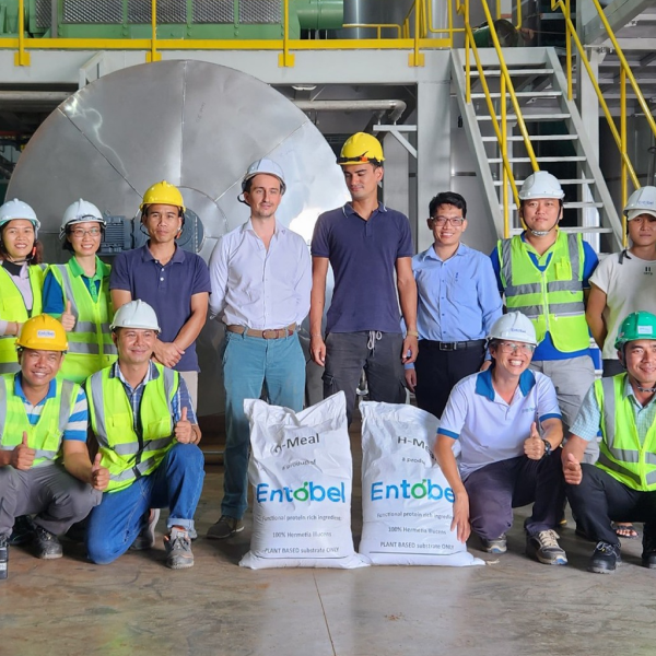 First batches of insect meals produced by the Vung Tau factory 