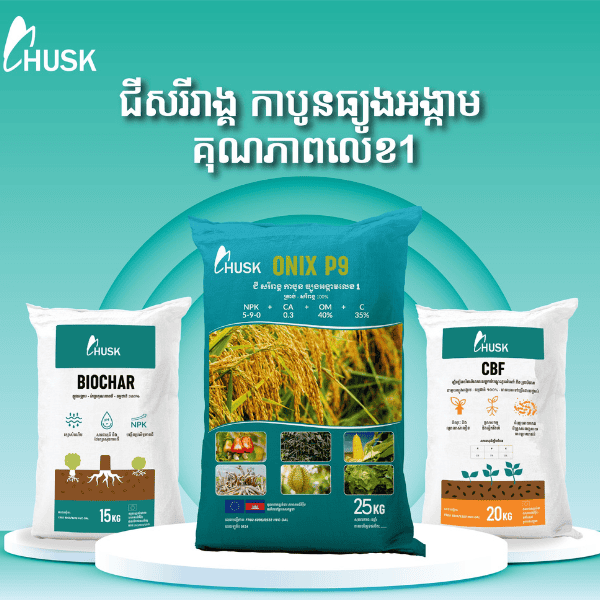 Doanh thu thuần tăng  119% so với cùng kỳ