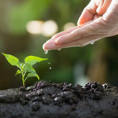 Green Climate Fund commits $50m to Mekong Capital’s climate fund by Deal Street Asia